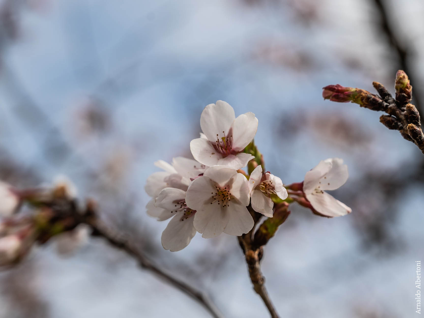 Ai compagni e compagne di fede dell'Emilia Romagna