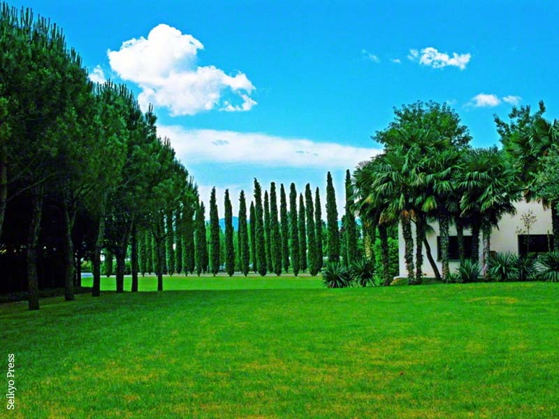 Foto di Daisaku Ikeda del Centro culturale di Firenze